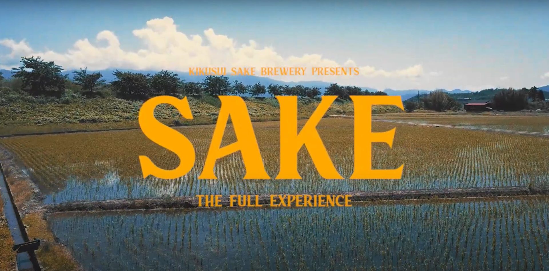 Kita-Echigo Sake Tourism - Japan's Hidden Gem